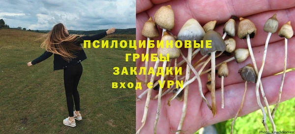 jwh Алзамай