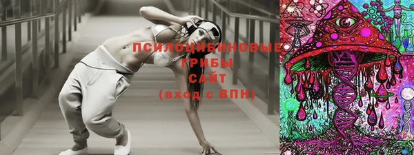 твердый Алексин