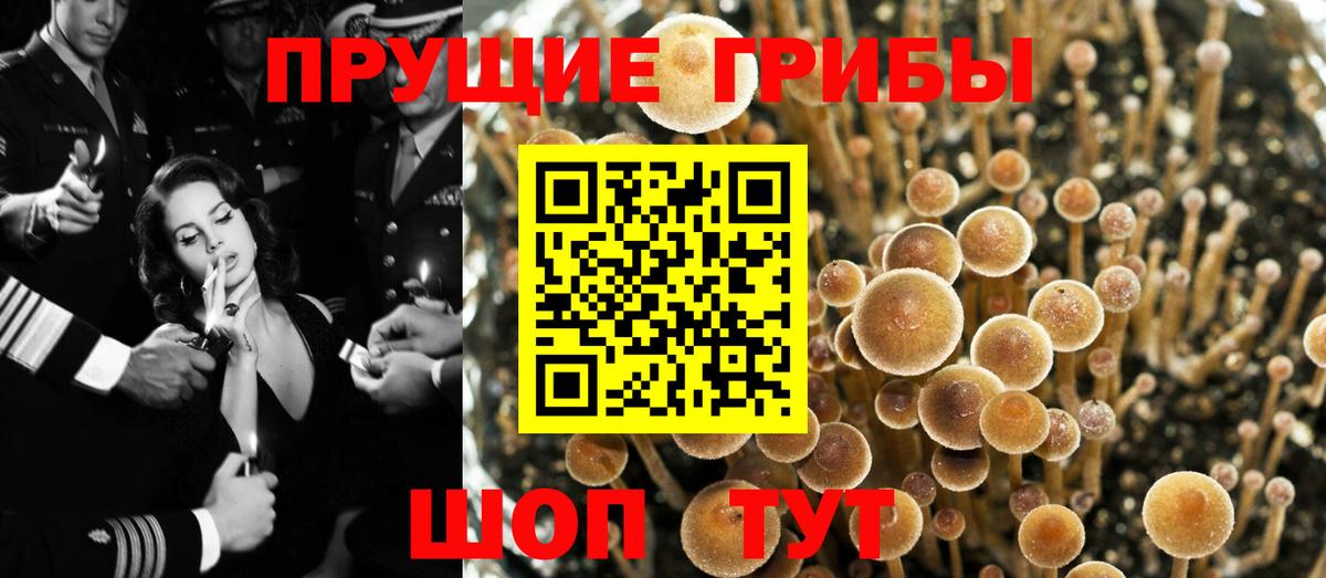 Псилоцибиновые грибы мухоморы  Вход с VPN  Фролово 